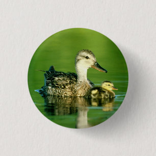 Bóton Redondo 2.54cm Botão bonito dos patos