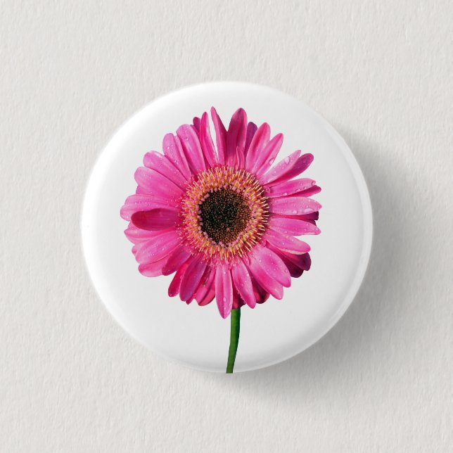 Bóton Redondo 2.54cm Botão/Crachá da Flor de Gerbera Rosa (Frente)