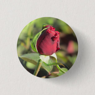 Bóton Redondo 2.54cm Botão da rosa vermelha