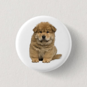 Bóton Redondo 2.54cm Botão de Amor ao Cachorro Chow Chow