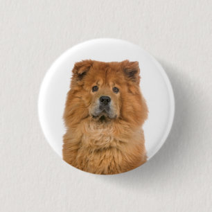 Bóton Redondo 2.54cm Botão de Amor Cachorro Chow Chow