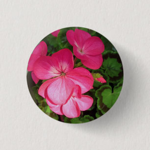Bóton Redondo 2.54cm Botão de Fotografia Geranium rosa bonito