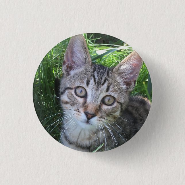 Bóton Redondo 2.54cm Botão de Gato Tabby Cinza (Frente)
