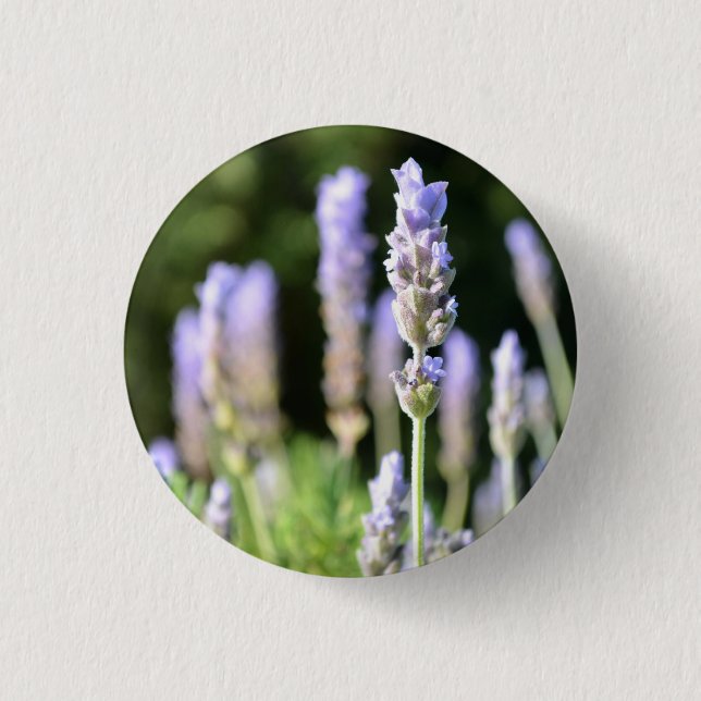 Bóton Redondo 2.54cm Botão de lavanda / Crachá (Frente)
