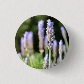 Bóton Redondo 2.54cm Botão de lavanda / Crachá