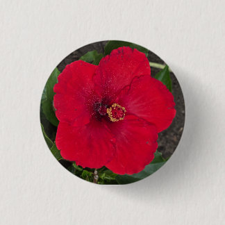 Bóton Redondo 2.54cm Botão Hibiscus