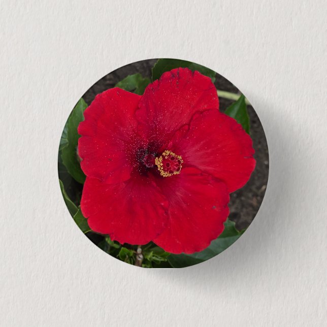 Bóton Redondo 2.54cm Botão Hibiscus (Frente)