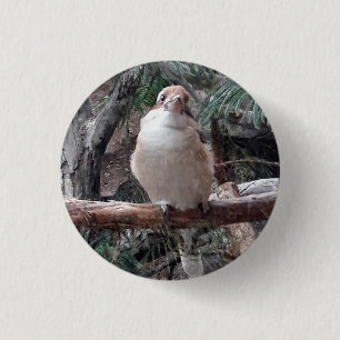 Bóton Redondo 2.54cm Botão Kookaburra
