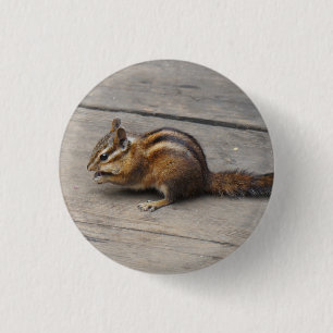 Bóton Redondo 2.54cm Botão Pinback do Chipmunk
