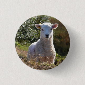 Bóton Redondo 2.54cm Botão primavera Baby Lamb / Crachá