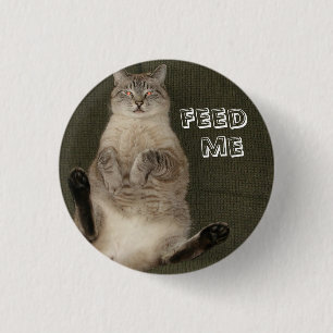 Bóton Redondo 2.54cm Botão redondo Cat "FEED ME"
