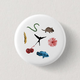 Bóton Redondo 2.54cm Botão 'Tokens de Comida' da envergadura