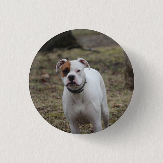 Bóton Redondo 2.54cm Boxer (Frente)