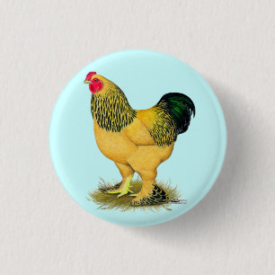 Bóton Redondo 2.54cm Brahma: Buff Rooster