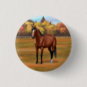 Bóton Redondo 2.54cm Brown Bay Quarter Horse Stallion