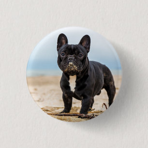 Bóton Redondo 2.54cm Bulldog Francês Brincando na Areia