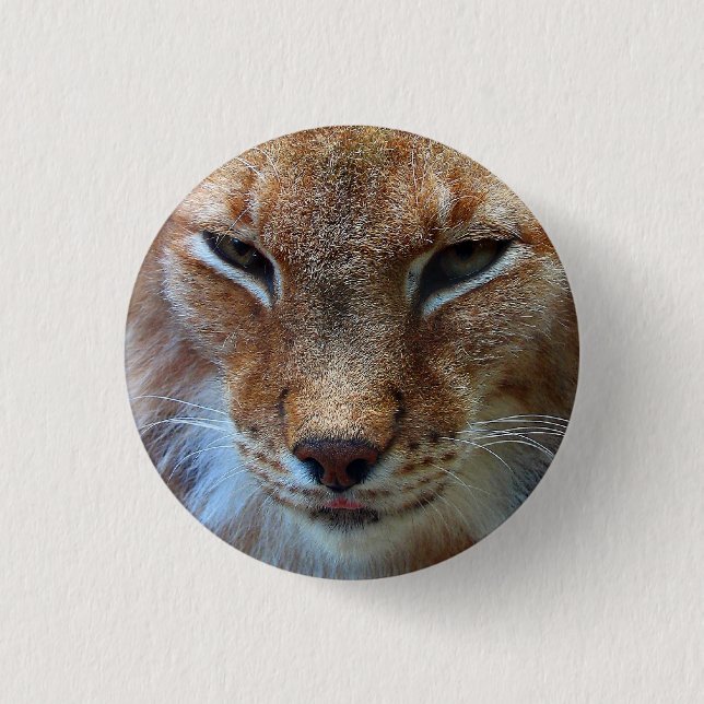 Bóton Redondo 2.54cm Cara do lince - crachá (Frente)