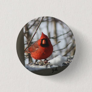 Bóton Redondo 2.54cm Cardinal
