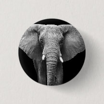 Celebrar o Dia Mundial do Elefante: Design majesto