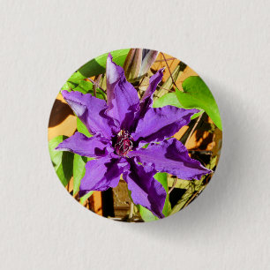 BÓTON REDONDO 2.54CM CLEMATIS