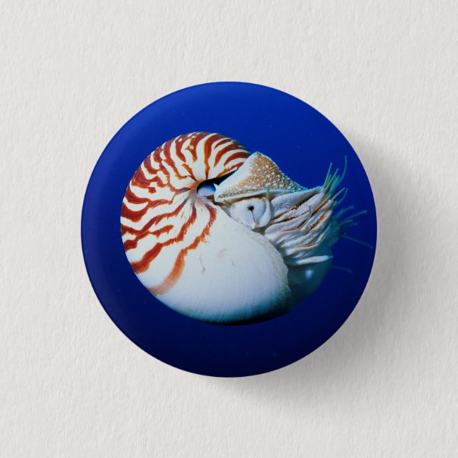 Bóton Redondo 2.54cm Close-Up de Nautilus-Camarado (Frente)