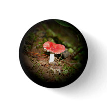 Cogumelo Russula de Tampa Vermelha