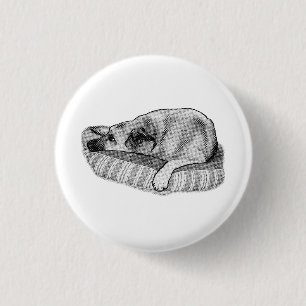 Bóton Redondo 2.54cm Conforto Retro, Broche de Cachorro Calmo