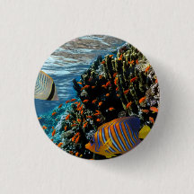 Coral Recife com Coral de Fogo e Peixes Exóticos