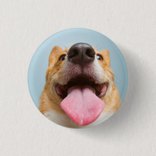 Bóton Redondo 2.54cm Corgi muito feliz das imagens de Getty