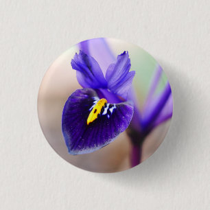 Bóton Redondo 2.54cm Crachá Flor Iris Reticulata