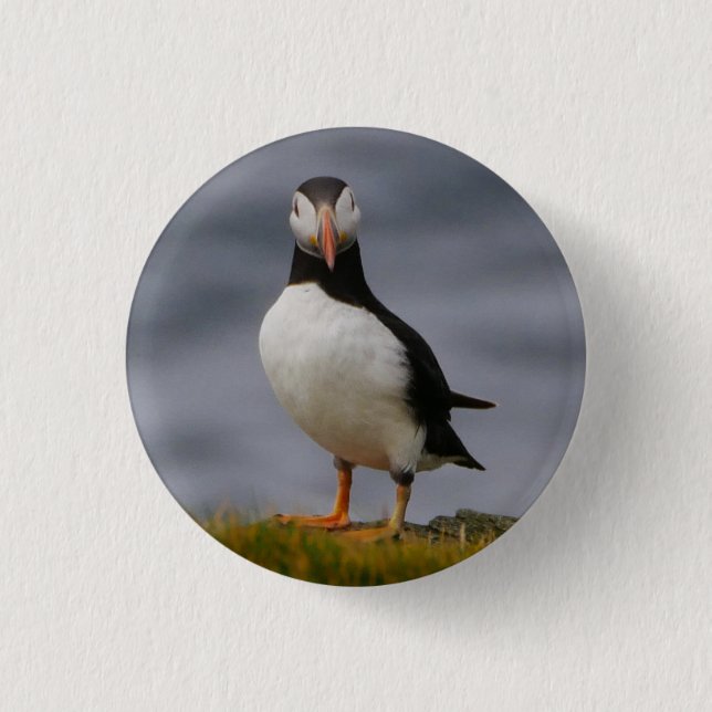Bóton Redondo 2.54cm Crachá Puffin (Frente)