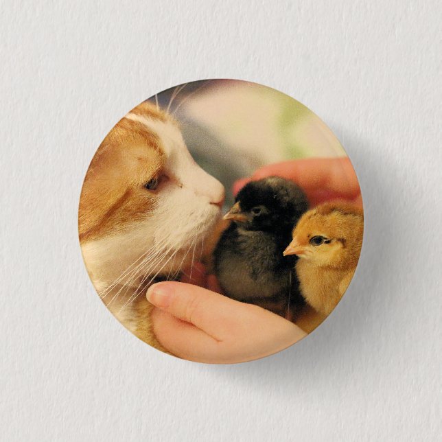 Bóton Redondo 2.54cm Cuecas (Frente)