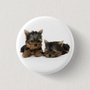 Bóton Redondo 2.54cm Cute Yorkshire Terrier cachorrinhos