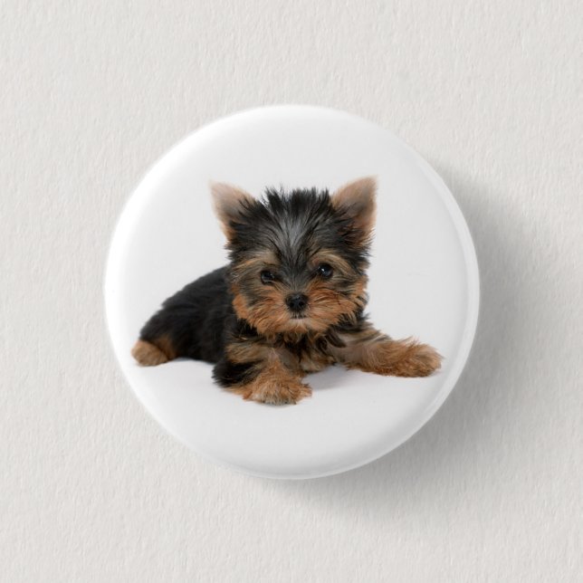 Bóton Redondo 2.54cm Cute Yorkshire Terrier Puppy (Frente)