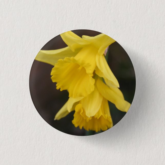 Bóton Redondo 2.54cm Daffodil Badge (Frente)