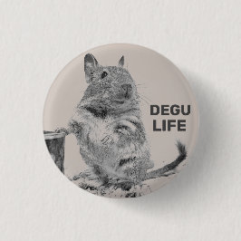 BÓTON REDONDO 2.54CM ⊿ DEGU. ⊿
