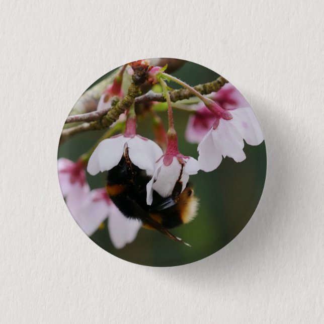 Bóton Redondo 2.54cm Emblema de Abelha em Flor (Frente)
