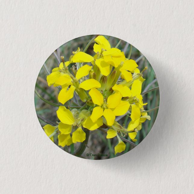 Bóton Redondo 2.54cm F14 Flores Silvestres Amarelas (Frente)