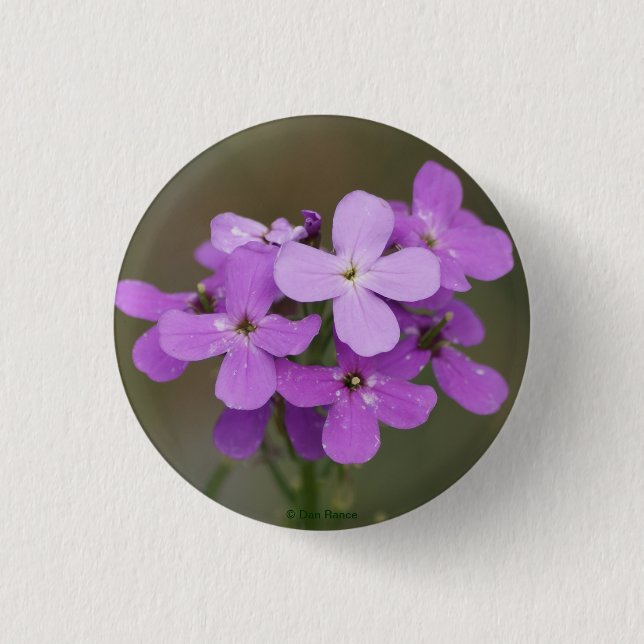 Bóton Redondo 2.54cm F19 Flores Roxas Chamas Foguete (Frente)