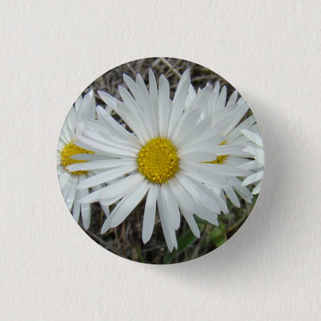 Bóton Redondo 2.54cm F42 Flores Silvestres Brancas Aster Suave (Frente)