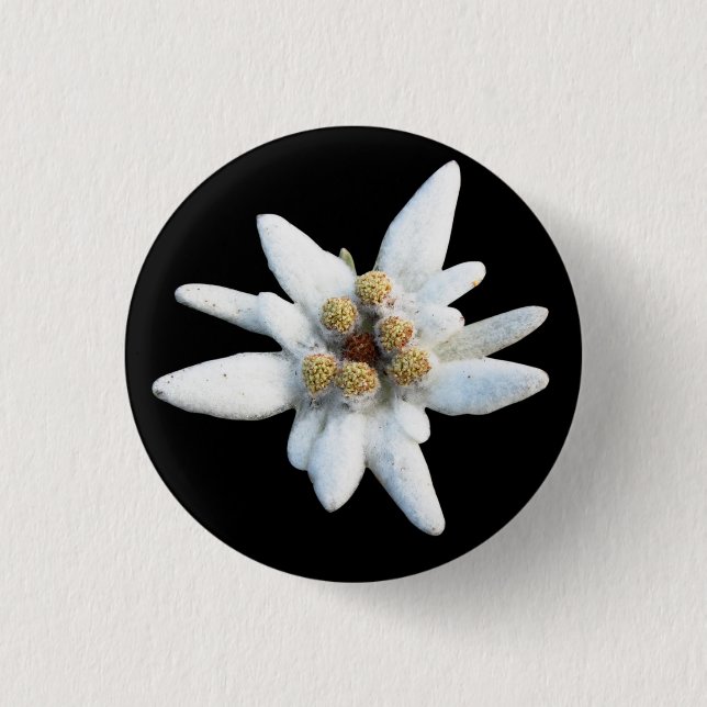 Bóton Redondo 2.54cm Flor alpina de Edelweiss (Frente)