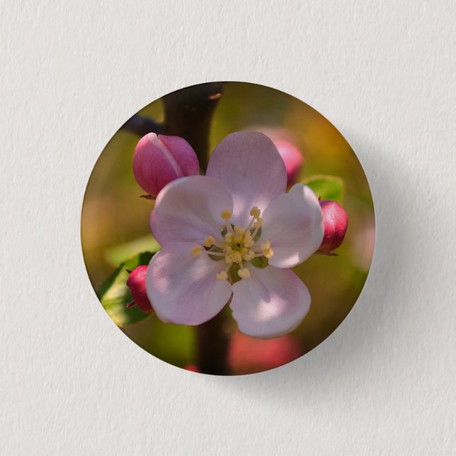 Bóton Redondo 2.54cm Flor de Maçã de Primavera (Frente)