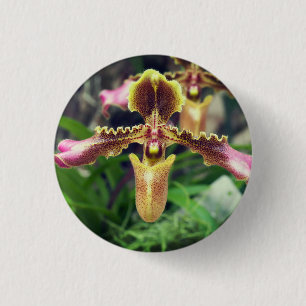 Bóton Redondo 2.54cm Flor de orquídea
