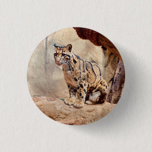 Bóton Redondo 2.54cm foto de leopardo nebuloso natureza vida selvagem e