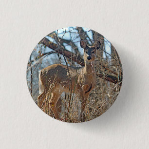 Bóton Redondo 2.54cm Foto de Wildlife Deer Woods