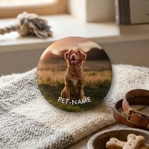 Bóton Redondo 2.54cm Foto Personalizada Com O Nome Do Seu Cachorro