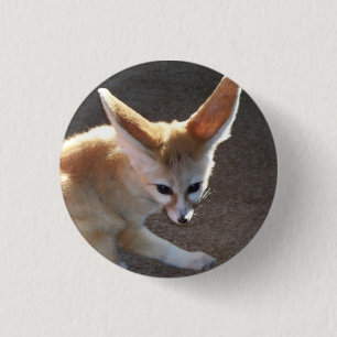 Bóton Redondo 2.54cm Fox de Fennec