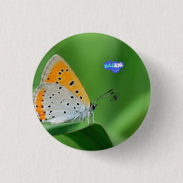 Bóton Redondo 2.54cm Fundo verde e borboleta amarela e branca e aranha