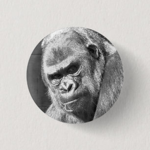 BÓTON REDONDO 2.54CM FUNNY GORILLA