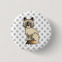 Gato Fofo de Casca de Tartaruga Birman / Ragdoll &